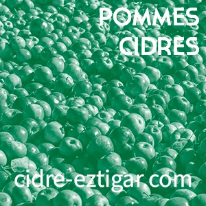 Cidre Estigar