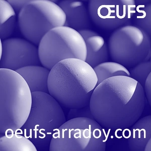 Oeufs Arradoy
