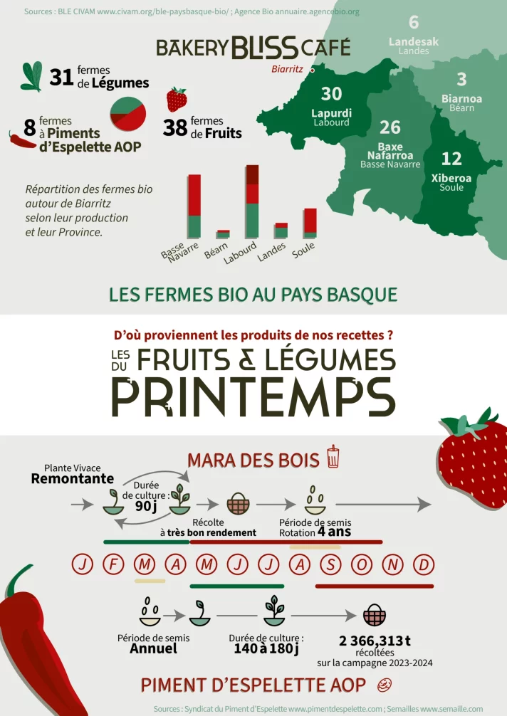 Datavisualisation-Printemps